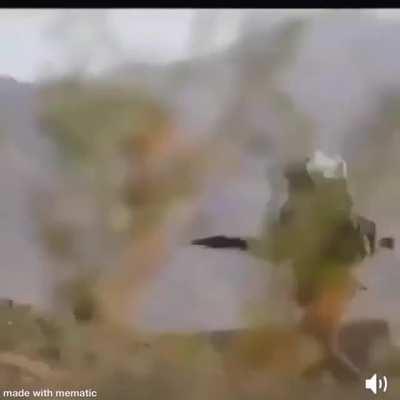 Does this count as history?