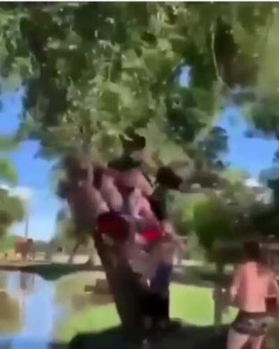 Qual a chance felas ?