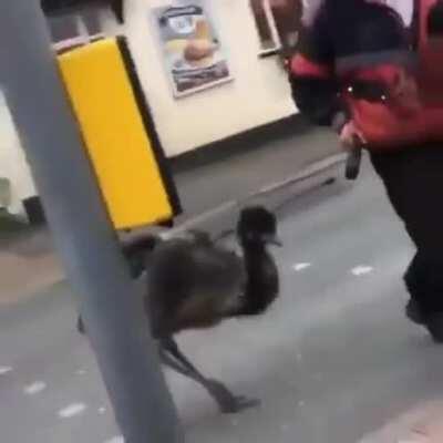 I love these kind of neighbourhood, where swearing is like a “good morning” to one another