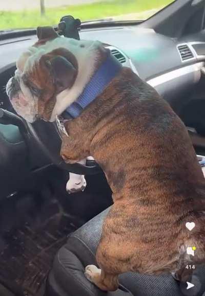 Hong in the name of love!