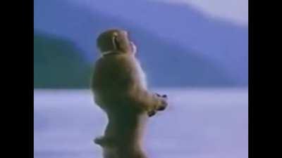 When you enter in 100 Rads Bar and hear this piece of art