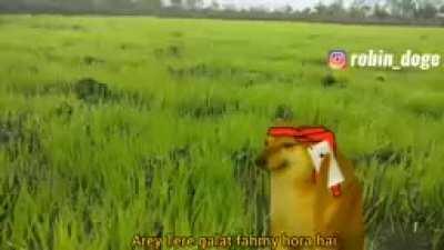 Tohar deewal me adake gand mar deb ..Piriya ko phone de.....