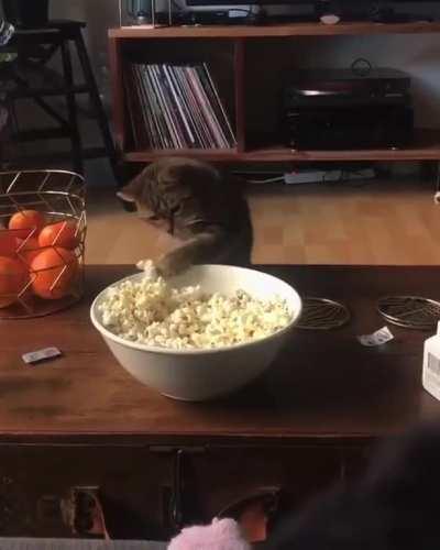 Touch tha popcorn