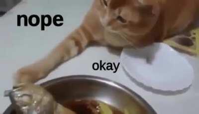 I’mma toucha da fishy ok?