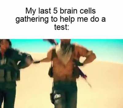 They don't know what they're doing