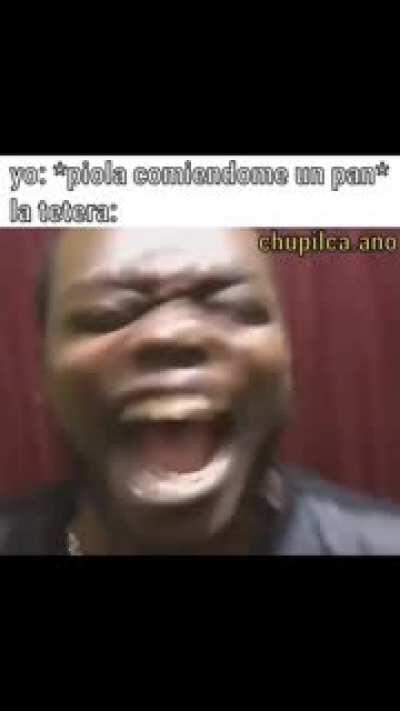 Que rico, sandwich con el pan del osito