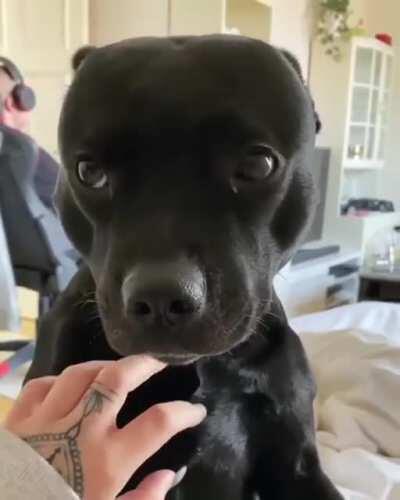 Немного милоты