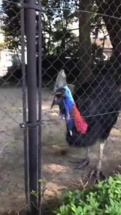 For people who say dinosaurs 