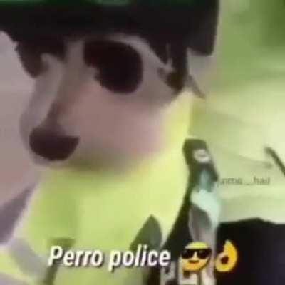 Perrito policia<<33