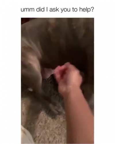 Help me, only when i ASK.