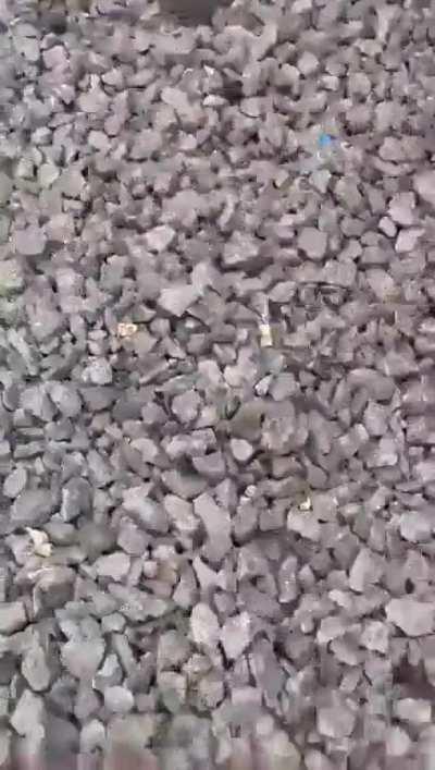 Boy Hit By Speeding Train While Making Insta Reel!