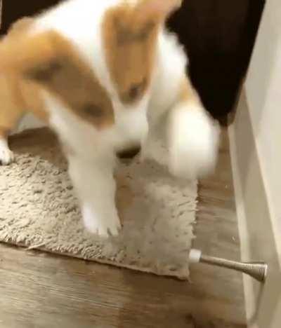 Her Best Toy Ever!!!