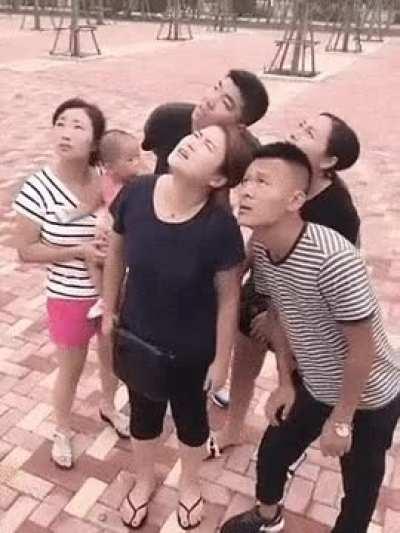 is it a bird? a plane?