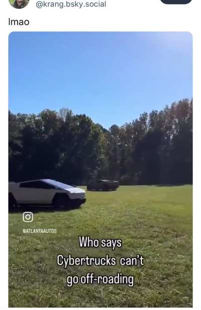 Aw look they’re frolicking in a field together