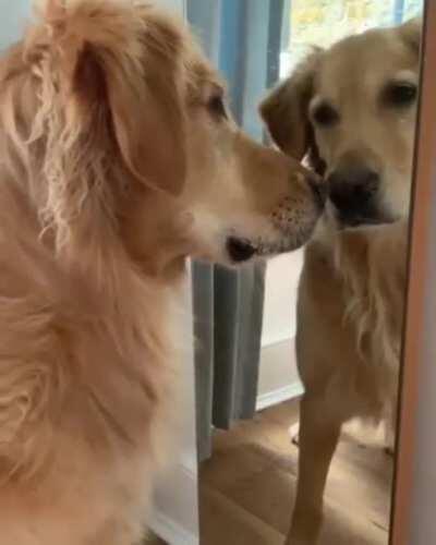 What’s your problem, bro?