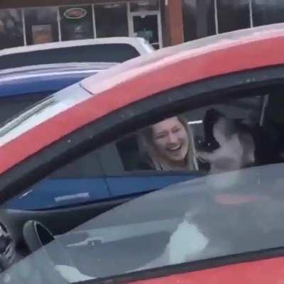 Can’t get mad at the dog