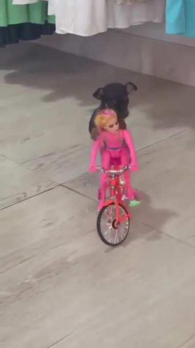 Smol criminal on the run from stealing local hearts! His getaway doesn't seem too reliable though...