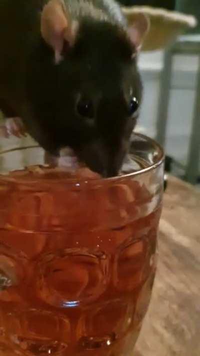 Scoop the juice! Esme being very cute here