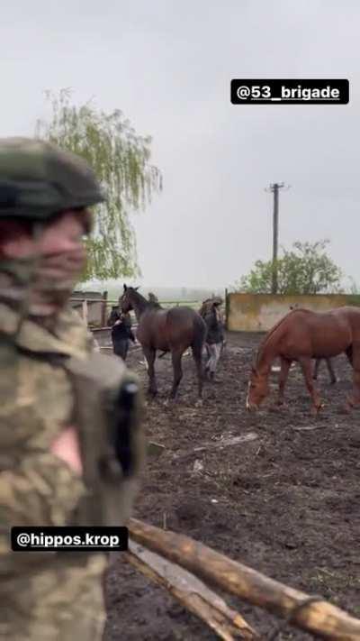 A strike on a horse farm before evacuation with the help of the 53rd brigade
