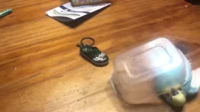 План ограбления надежен, как швейцарские часы.