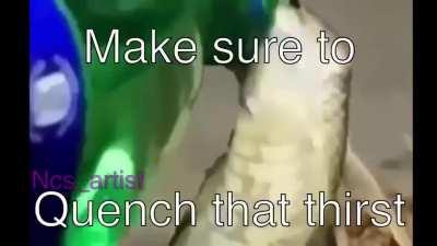 It's snek sunday (please make this a thing)