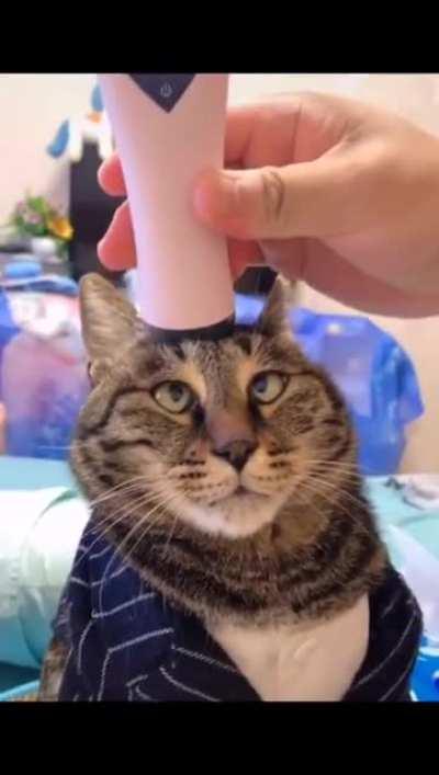 Оргазминьë