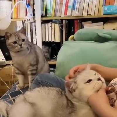 Titles are important.