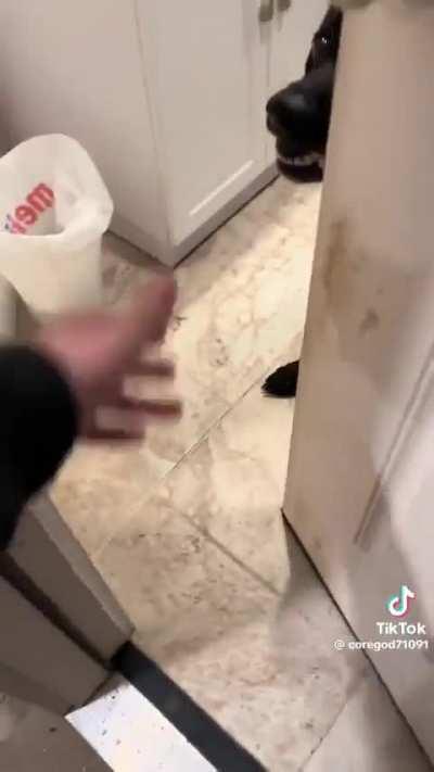 Happy, the soulless beast.