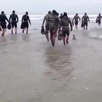 sCarY vIdEo reAvEalS nEw sUiT dEsIgnEd tO spY oN nAvY sEalS