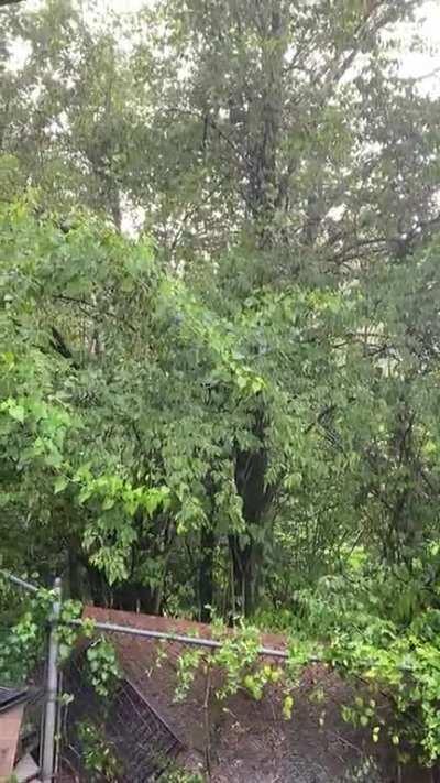 Summer storms are the best! (Sorry for portrait mode)