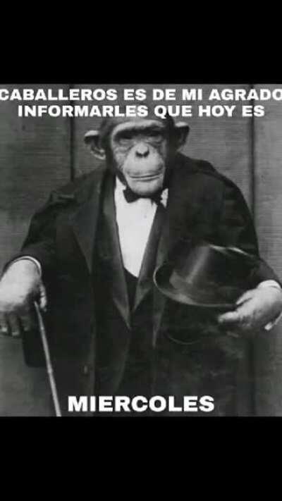 INFORME DIARIO 🧐👌