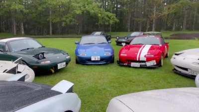 It starts with one but then before you know it a bunch of them are doing it.