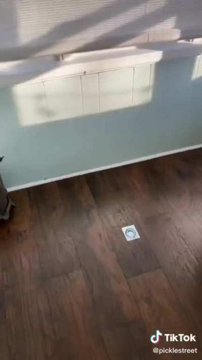 I know this community is will appreciate this