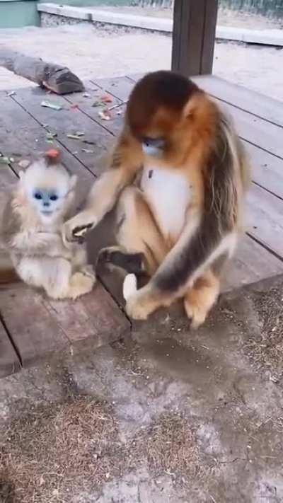 Mom is always great.