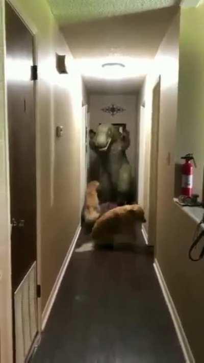 Essas imagens do novo Jurassic Park estão incríveis