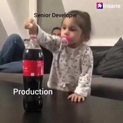 Senior Developer vs Intern