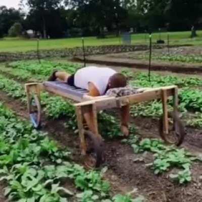 An easier way to weed the garden