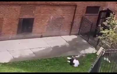 If we use 50% of our brain we can turn off fall damage