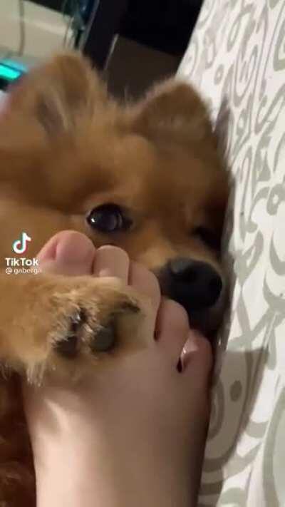 La neta si tiene patas ricas