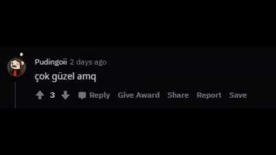 Porçay REEE Derleme