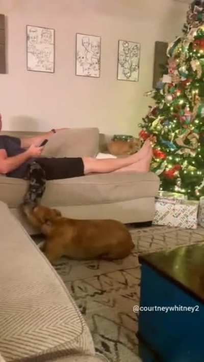 sometimes you need a little boost!