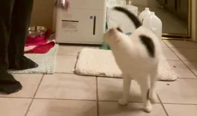 My little Pro-Pod :D