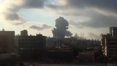 So beatufull. So deadly.