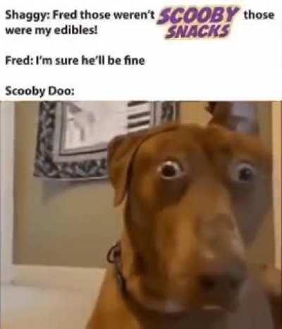 blursed_ScoobyDoo