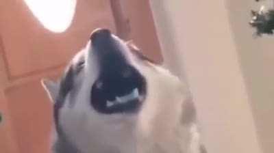 Как ты выглядишь со стороны, когда подпеваешь любимой песне