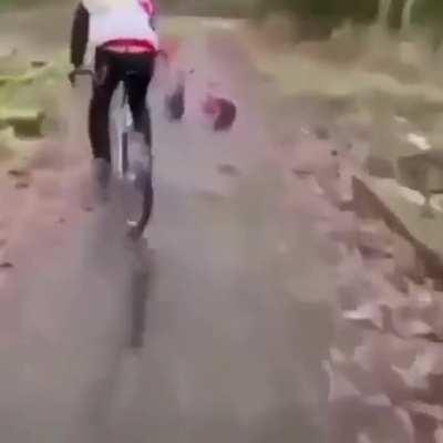 Fuck you, that’s why