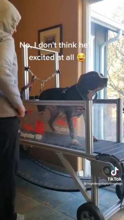 И фару ему на лоб. Фару!