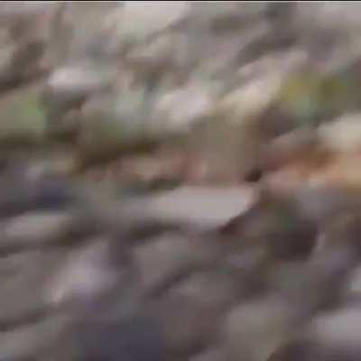 Факинг Нэйшнэл Джиографик! Прямо около дома.