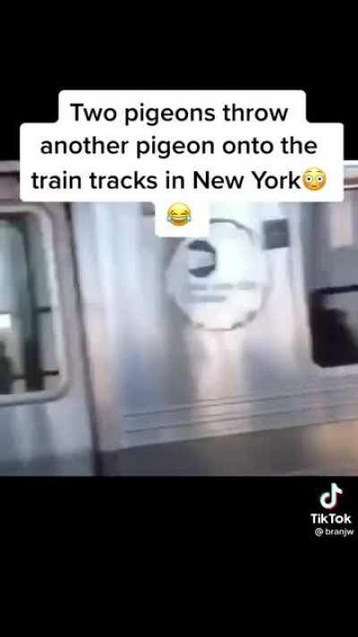 Sleeping with the fishes