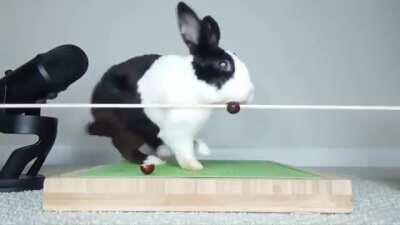 SicK FuCk FeEds rABbiT fASt ACtiNg PoISiN